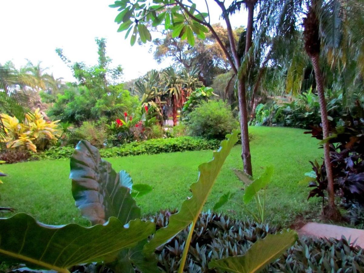 Tamarindo Condo 206 Matapalo Bagian luar foto
